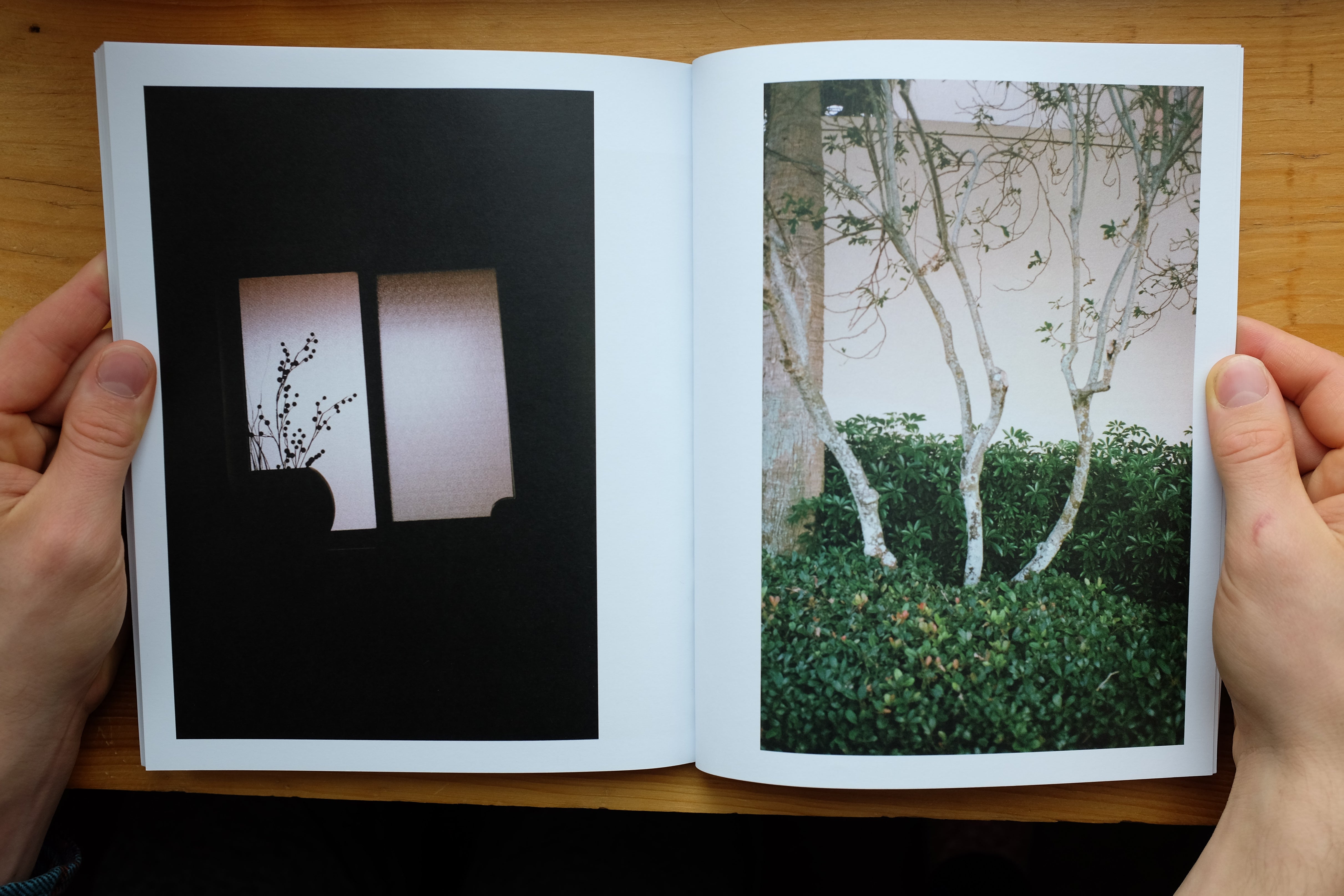 Uncovering the Stillness of Motion