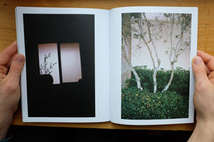 Uncovering the Stillness of Motion
