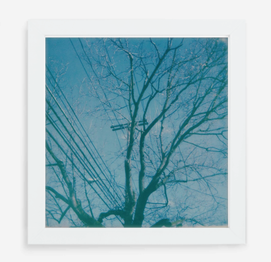 telephone wires - 5x5.2 / Gallery White / No Mat