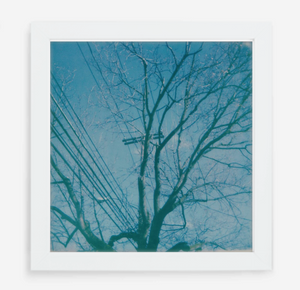 telephone wires - 5x5.2 / Gallery White / No Mat