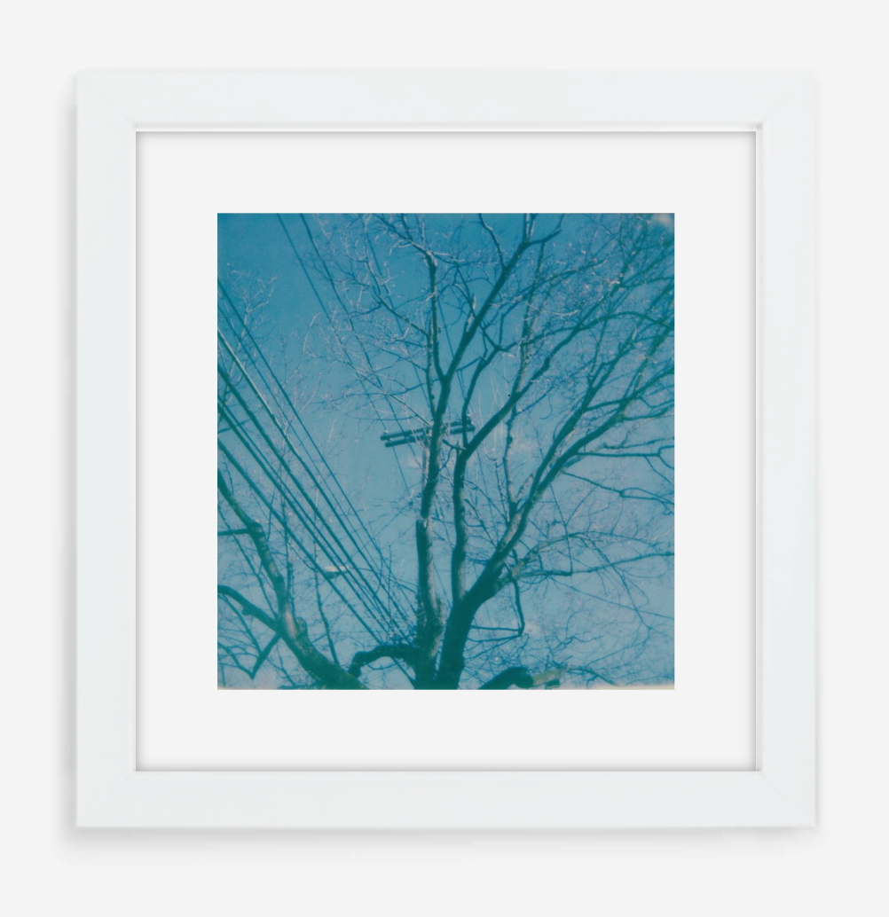 telephone wires - 5x5.2 / Gallery White / With Mat