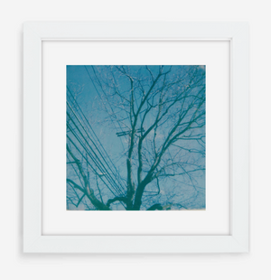 telephone wires - 5x5.2 / Gallery White / With Mat