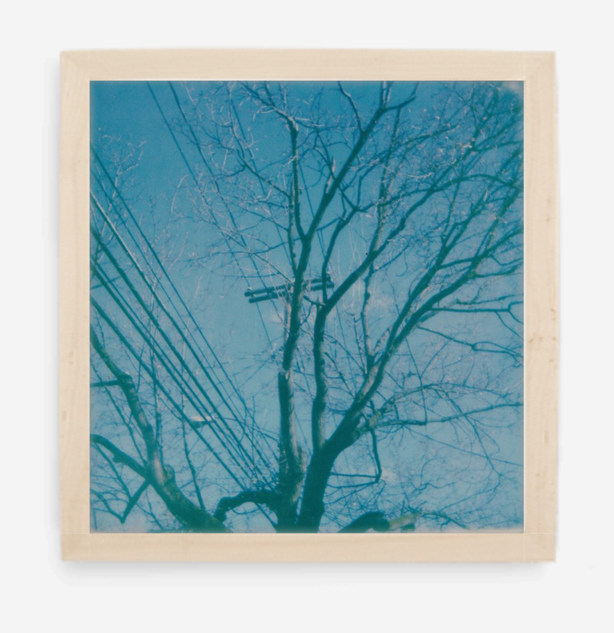 telephone wires - 5x5.2 / Gallery Natural / No Mat