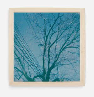 telephone wires - 5x5.2 / Gallery Natural / No Mat