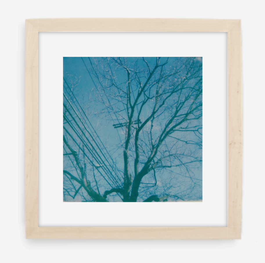telephone wires - 5x5.2 / Gallery Natural / With Mat