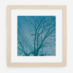 telephone wires - 5x5.2 / Gallery Natural / With Mat