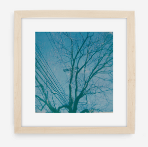 telephone wires - 5x5.2 / Gallery Natural / With Mat