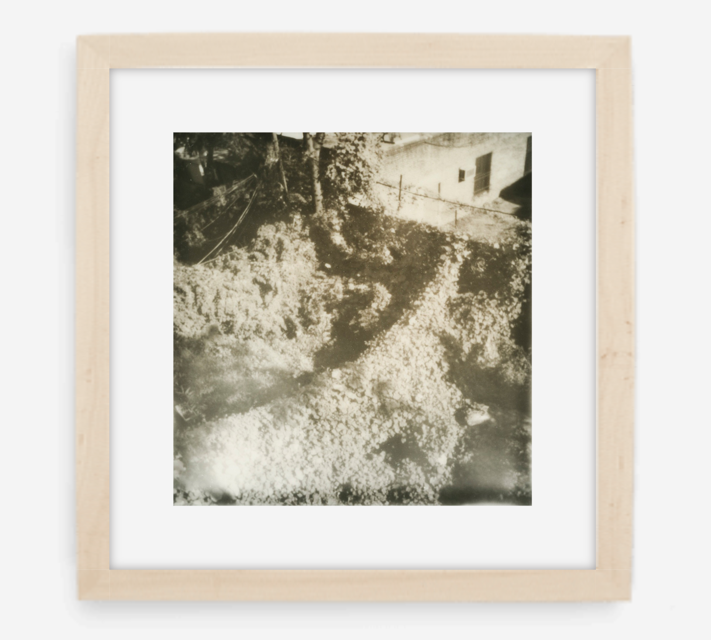 overgrown - 5x5.2 / Gallery Natural / With Mat