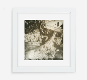 overgrown - 5x5.2 / Gallery White / With Mat
