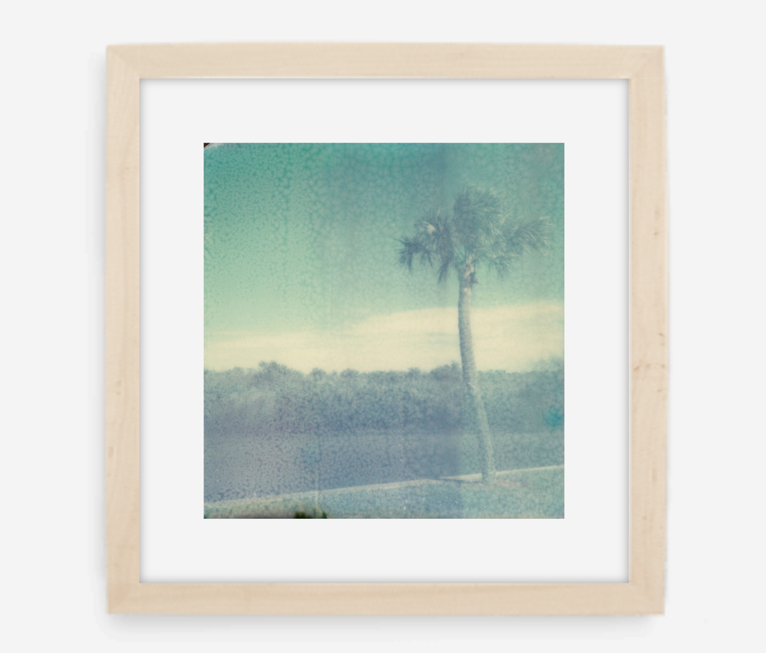 florida - 5x5.2 / Gallery Natural / With Mat