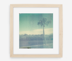 florida - 5x5.2 / Gallery Natural / With Mat
