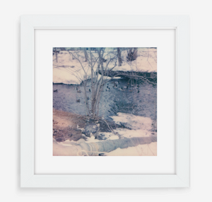 winter ducks - 5x5.2 / Gallery White / With Mat