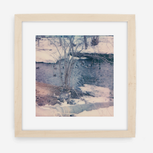 winter ducks - 5x5.2 / Gallery Natural / With Mat