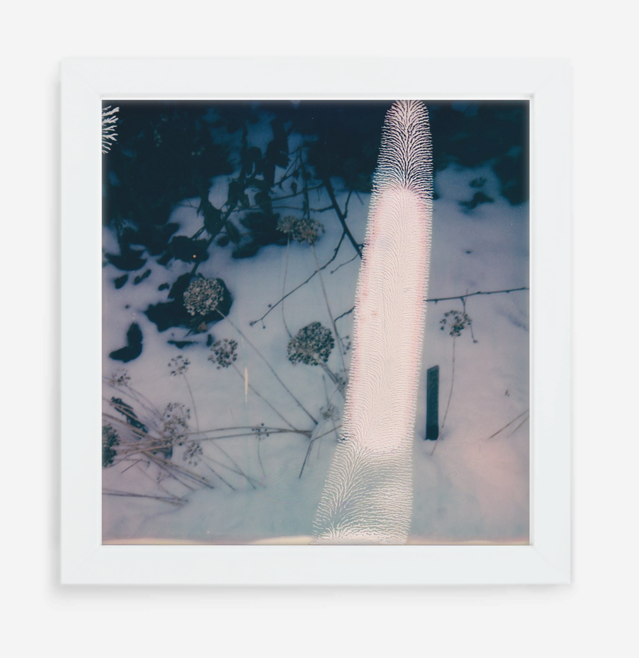 error - 5x5.2 / Gallery White / No Mat