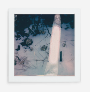 error - 5x5.2 / Gallery White / No Mat