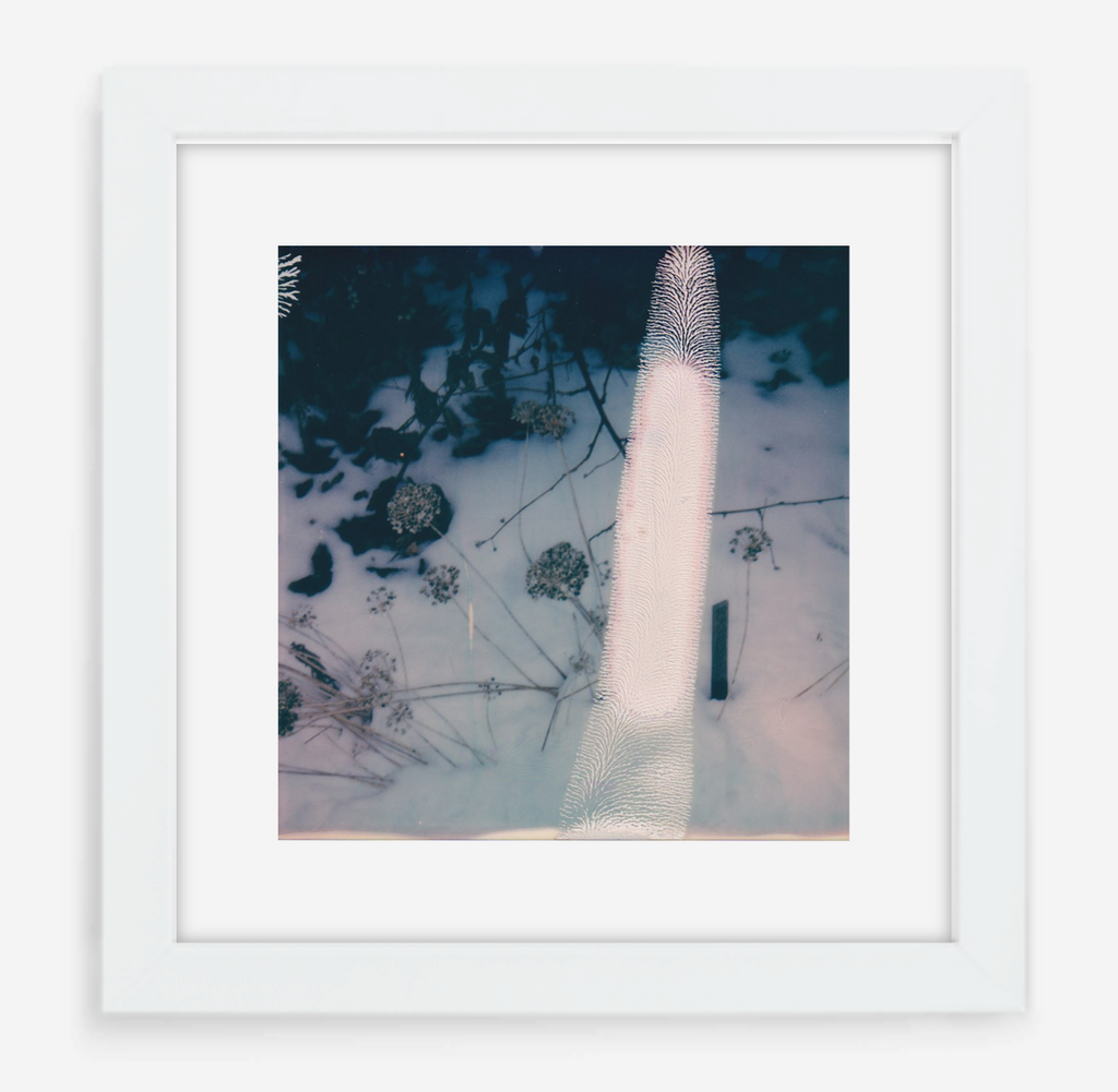 error - 5x5.2 / Gallery White / With Mat