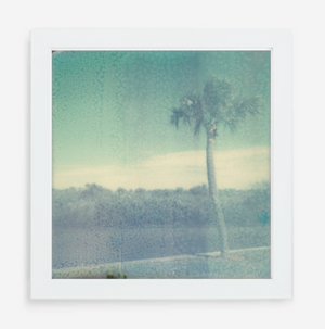 florida - 5x5.2 / Gallery White / No Mat