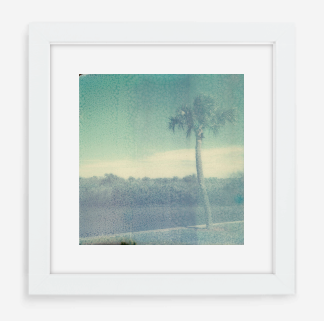 florida - 5x5.2 / Gallery White / With Mat