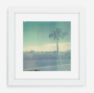florida - 5x5.2 / Gallery White / With Mat