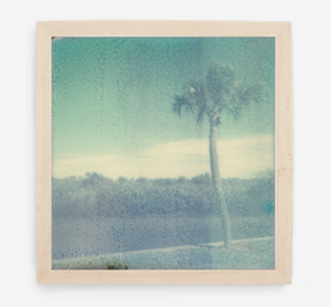 florida - 5x5.2 / Gallery Natural / No Mat