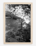 flowers - 8x12 / Gallery Natural / No Mat - 12x18 / Gallery Natural / No Mat