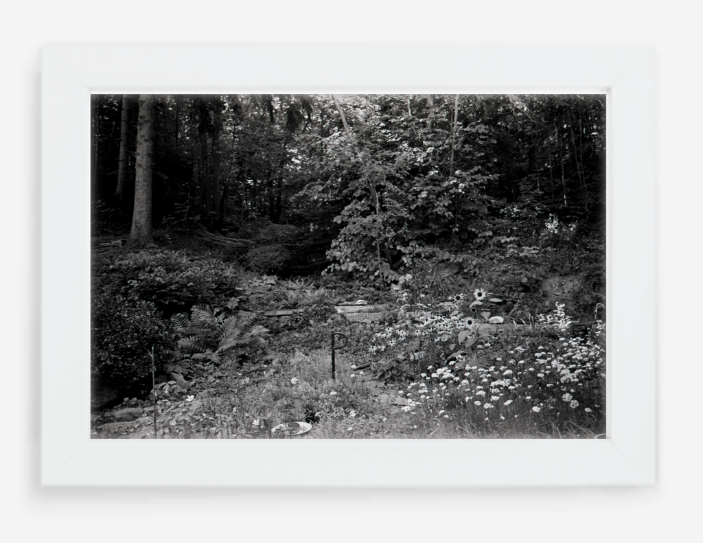 the garden - 8x12 / Gallery White / No Mat - 12x18 / Gallery White / No Mat
