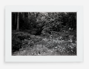 the garden - 8x12 / Gallery White / No Mat - 12x18 / Gallery White / No Mat