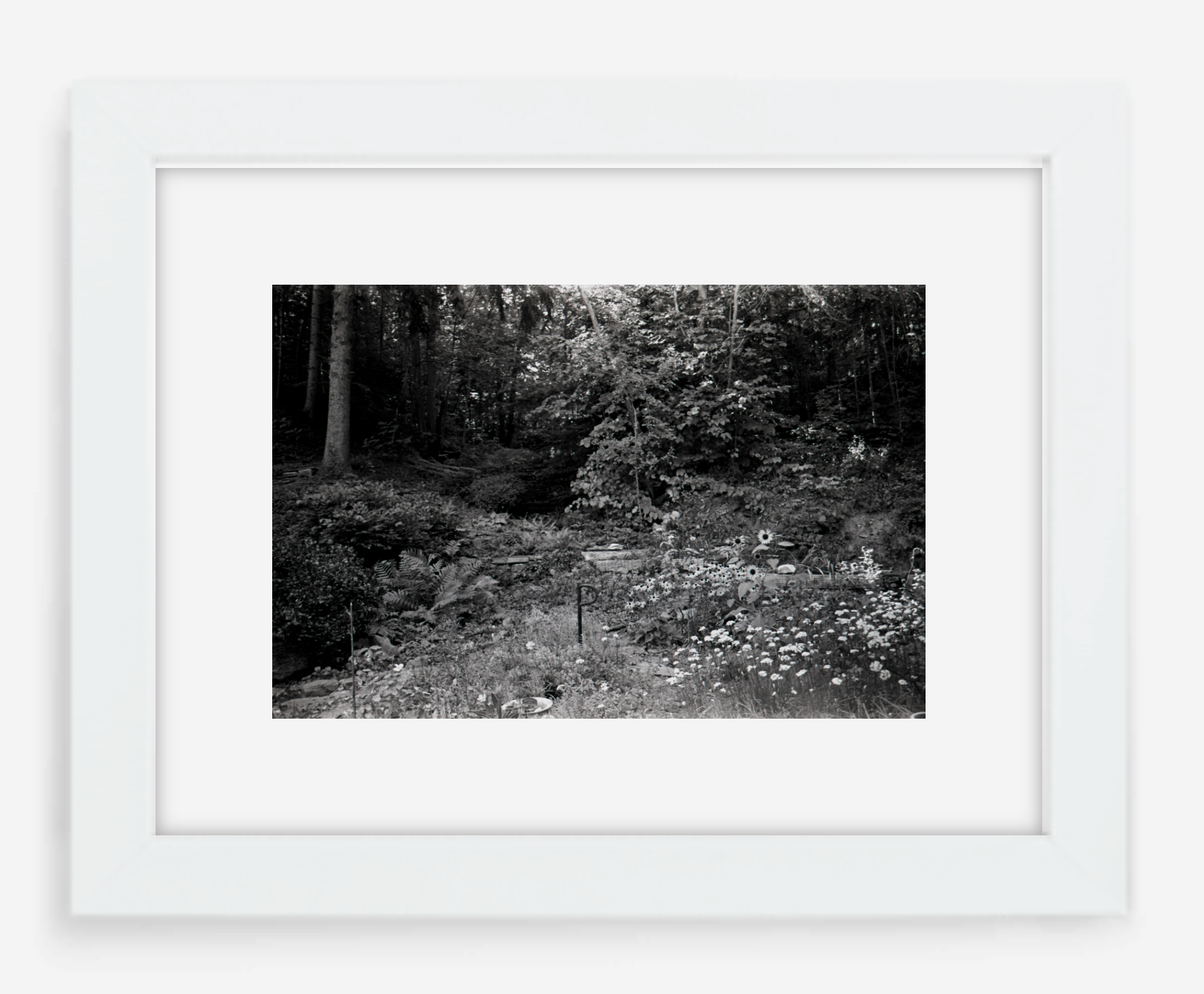 the garden - 8x12 / Gallery White / With Mat - 12x18 / Gallery White / With Mat