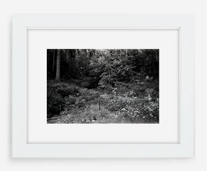 the garden - 8x12 / Gallery White / With Mat - 12x18 / Gallery White / With Mat