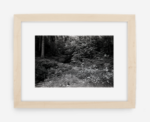 the garden - 8x12 / Gallery Natural / With Mat - 12x18 / Gallery Natural / With Mat