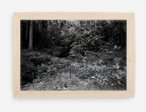 the garden - 8x12 / Gallery Natural / No Mat - 12x18 / Gallery Natural / No Mat