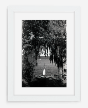willows - 8x12 / Gallery White / With Mat - 12x18 / Gallery White / With Mat