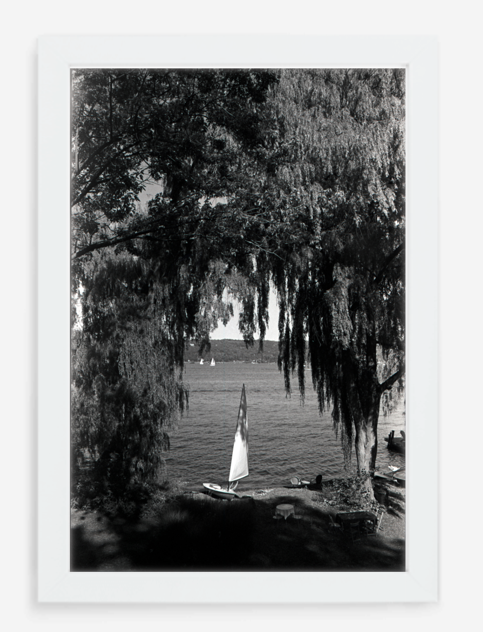 willows - 8x12 / Gallery White / No Mat - 12x18 / Gallery White / No Mat