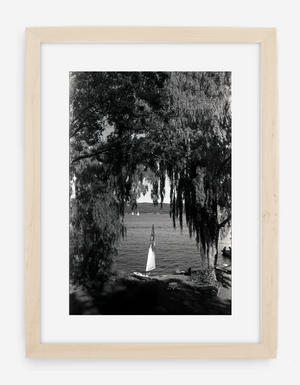 willows - 8x12 / Gallery Natural / With Mat - 12x18 / Gallery Natural / With Mat