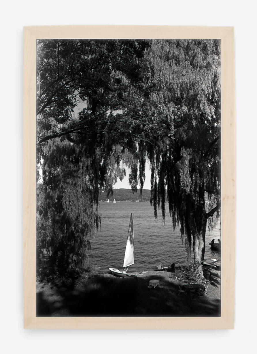 willows - 8x12 / Gallery Natural / No Mat - 12x18 / Gallery Natural / No Mat