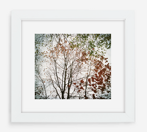 autumn - 12x14 / Gallery White / With Mat