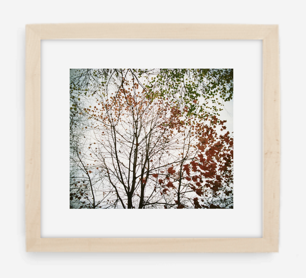 autumn - 12x14 / Gallery Natural / With Mat
