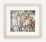autumn - 12x14 / Gallery Natural / With Mat