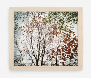 autumn - 12x14 / Gallery Natural / No Mat