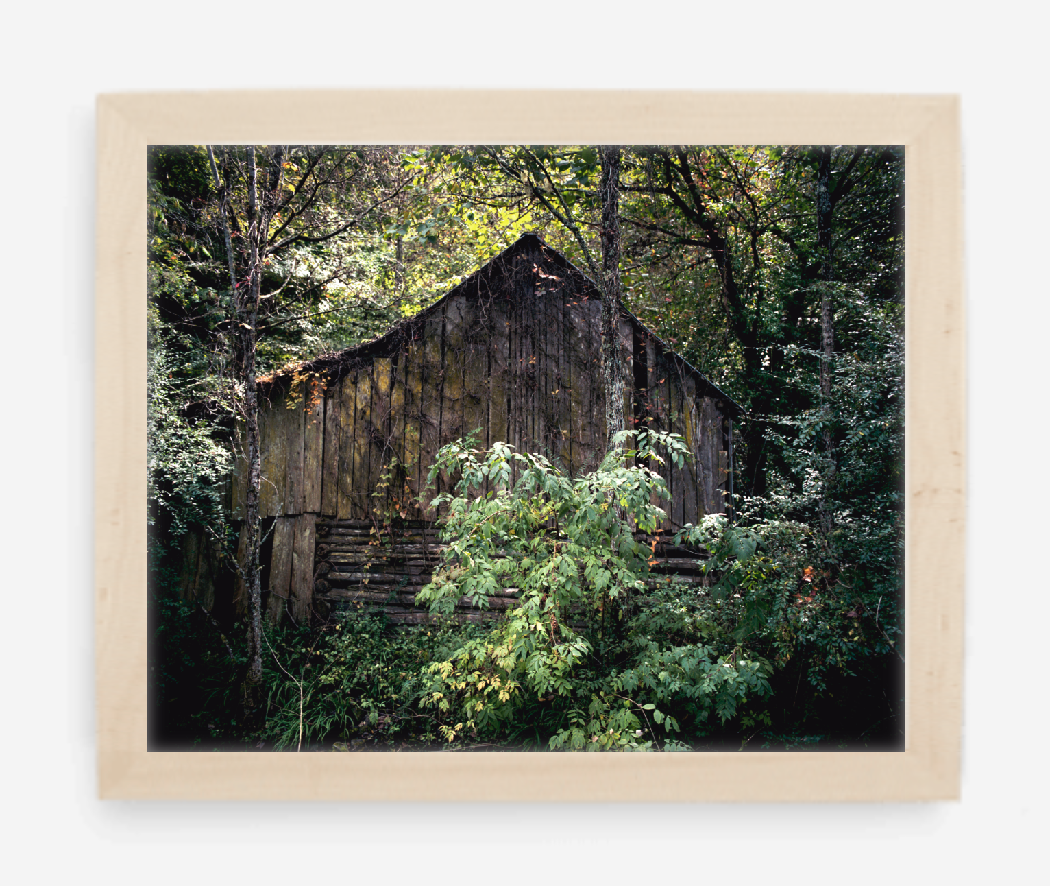 vacant - 8x10 / Gallery Natural / No Mat - 11x14 / Gallery Natural / No Mat - 16x20 / Gallery Natural / No Mat