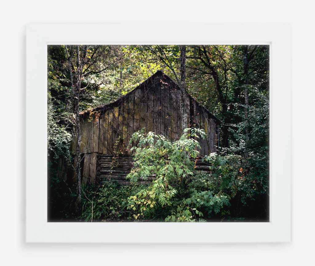 vacant - 8x10 / Gallery White / No Mat - 11x14 / Gallery White / No Mat - 16x20 / Gallery White / No Mat