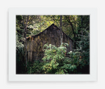 vacant - 8x10 / Gallery White / No Mat - 11x14 / Gallery White / No Mat - 16x20 / Gallery White / No Mat