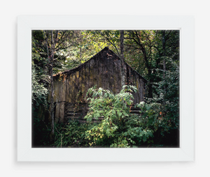 vacant - 8x10 / Gallery White / No Mat - 11x14 / Gallery White / No Mat - 16x20 / Gallery White / No Mat