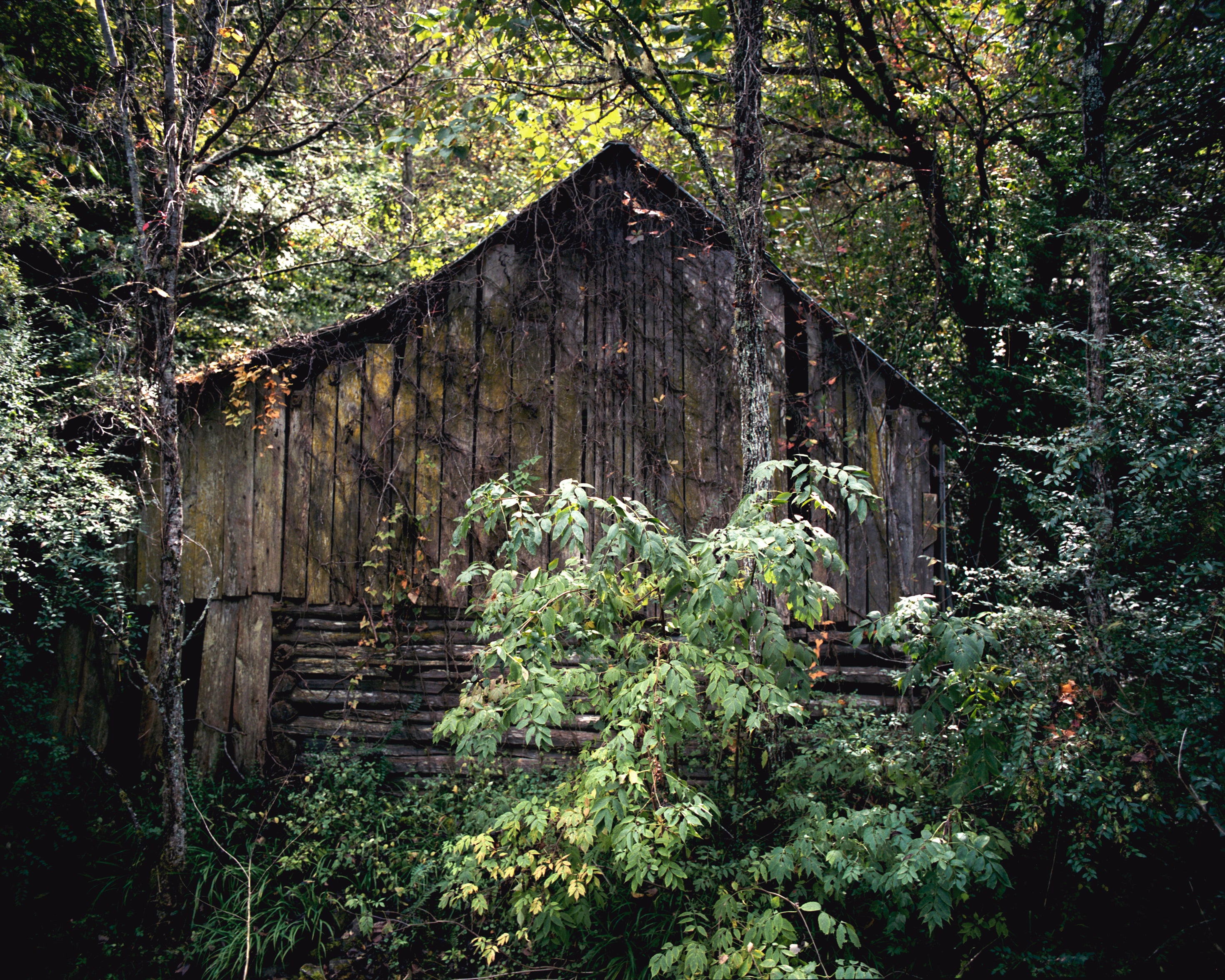 vacant - 8x10 / No Frame / No Mat - 11x14 / No Frame / No Mat - 16x20 / No Frame / No Mat