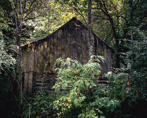 vacant - 8x10 / No Frame / No Mat - 11x14 / No Frame / No Mat - 16x20 / No Frame / No Mat