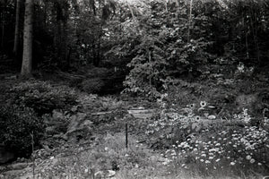 the garden - 8x12 / No Frame / No Mat - 12x18 / No Frame / No Mat