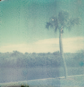 florida - 5x5.2 / No Frame / No Mat
