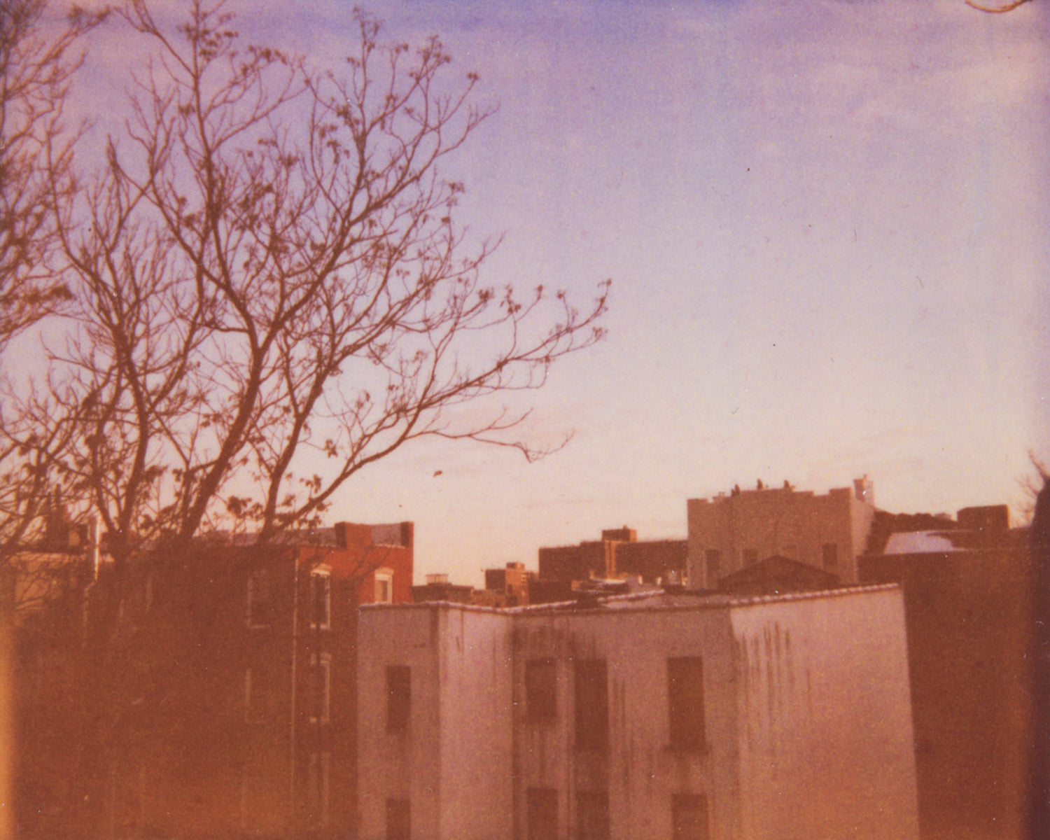 Brooklyn