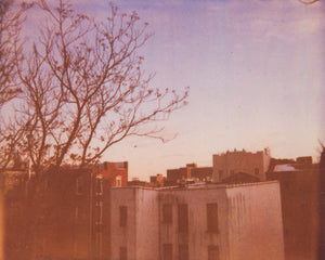 Brooklyn