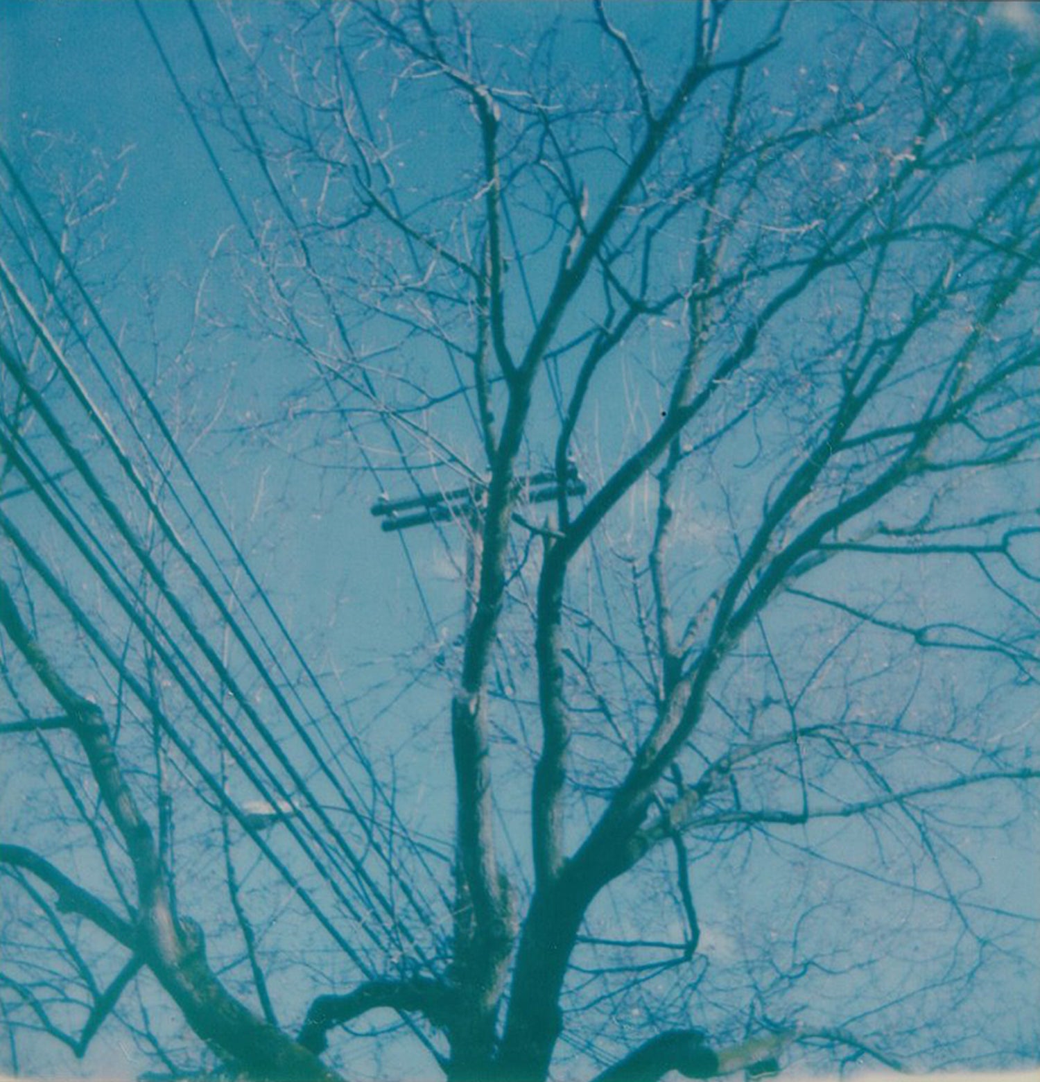 telephone wires - 5x5.2 / No Frame / No Mat
